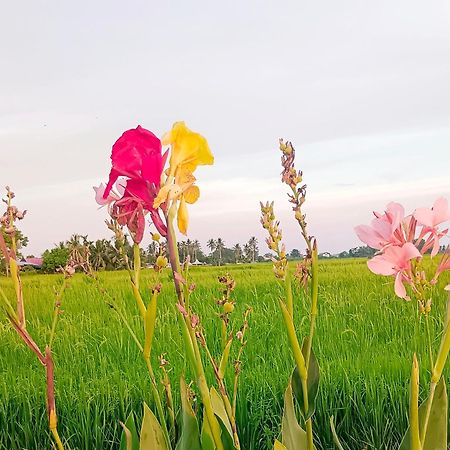 Kurau Inn Farmstay Kuala Kurau Екстер'єр фото
