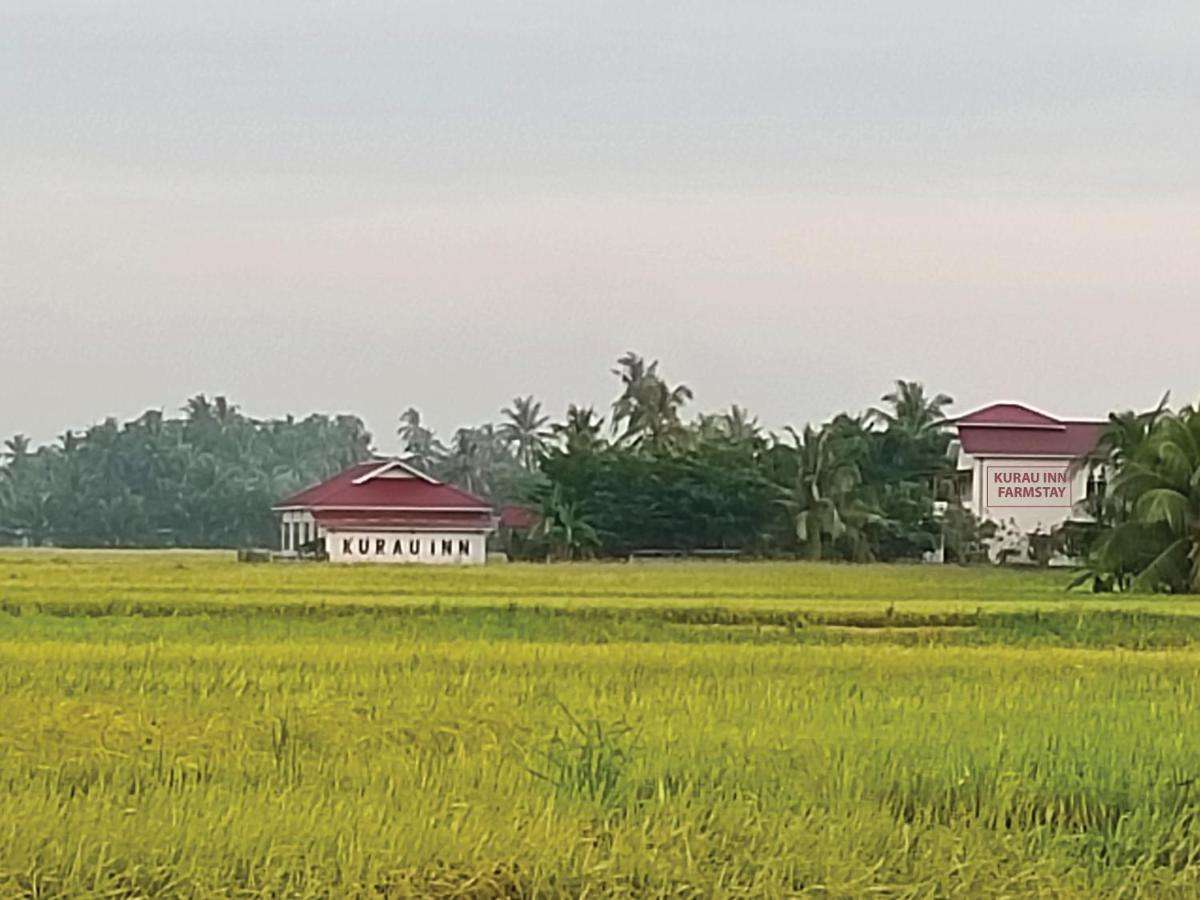 Kurau Inn Farmstay Kuala Kurau Екстер'єр фото