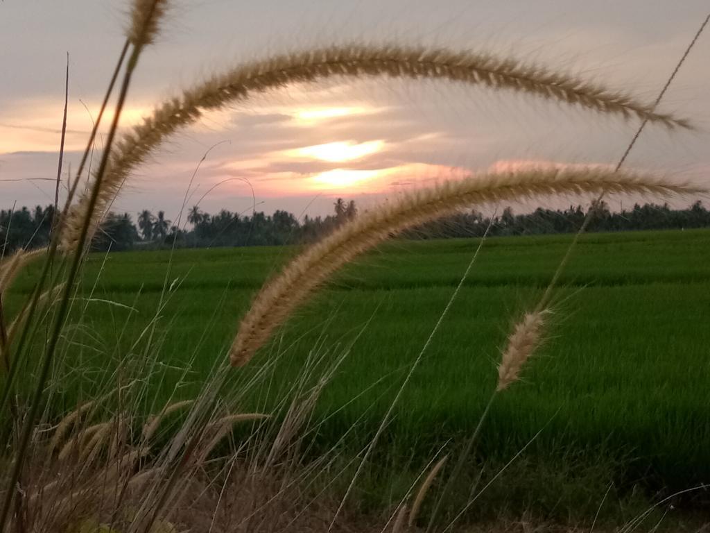 Kurau Inn Farmstay Kuala Kurau Екстер'єр фото