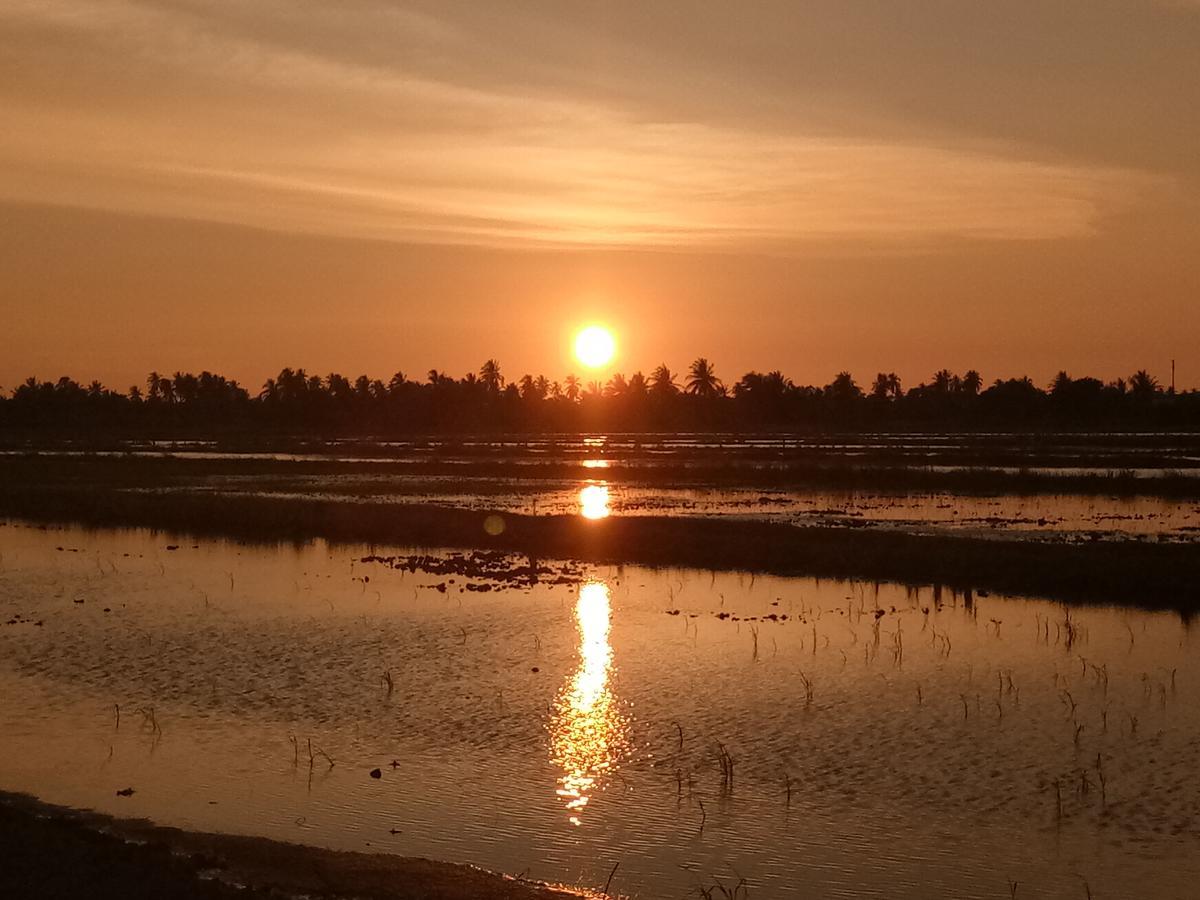 Kurau Inn Farmstay Kuala Kurau Екстер'єр фото